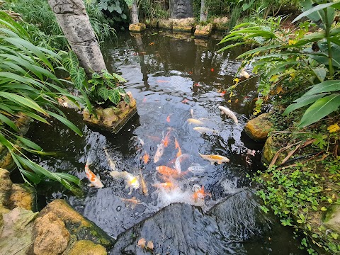 Stratford Butterfly Farm