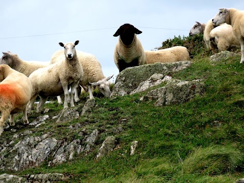 Legends of Lecale Peninsula