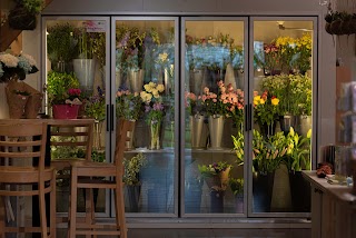 White Row Florist