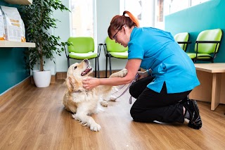 St George's Vets - Wolverhampton Consulting Centre