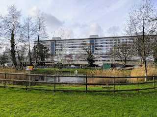 Heath Hospital Garden