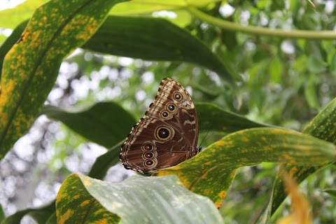 The Nature Reserve at Twycross Zoo