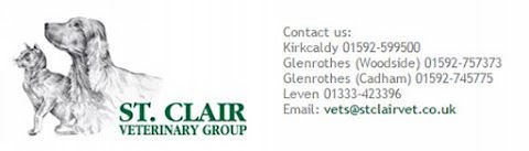 St Clair Veterinary Group Leven