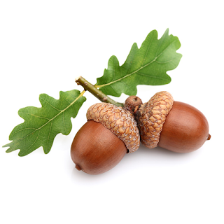 Acorn Counselling