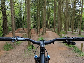 Barnett Demesne Trails & Jumps Park