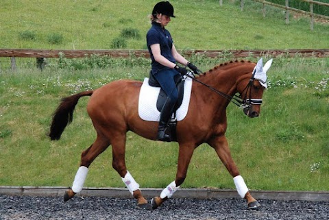 Endell Equine Hospital