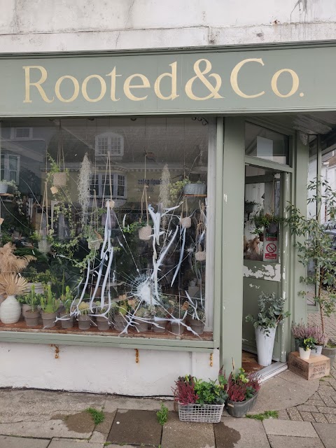 Rooted & Co. Shoreham