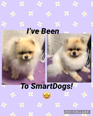 SmartDogs Grooming Waltham Abbey