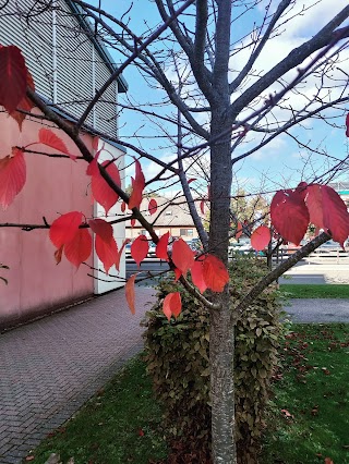 Mount Vernon Cancer Centre