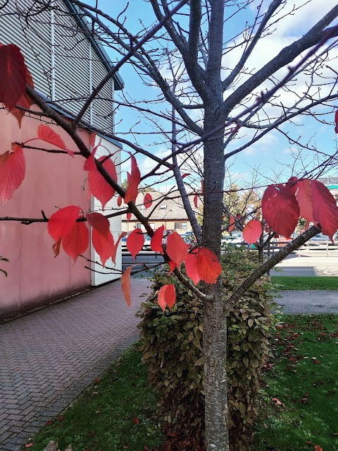 Mount Vernon Cancer Centre