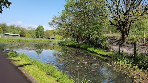 Riverside Boarding Kennels & Cattery