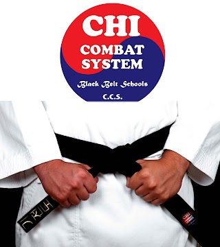 Croydon Chi Combat Holistic Academy