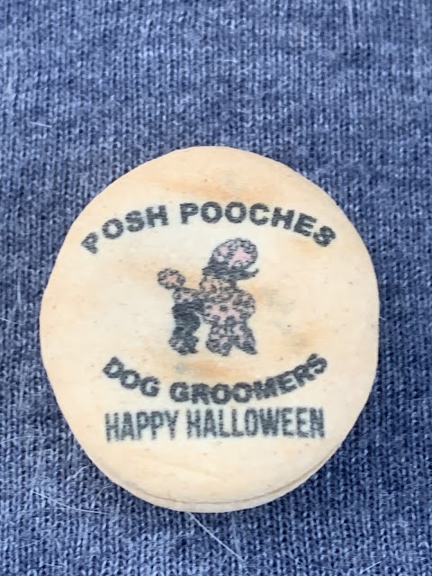 Posh Pooches Dog Groomers Connswater