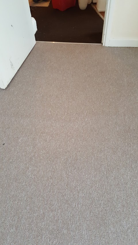 Absorb Carpet Cleaning