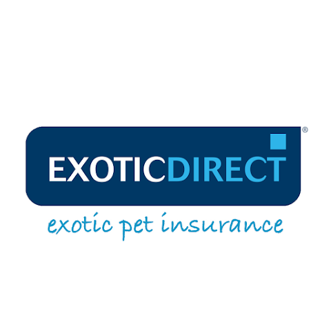 ExoticDirect