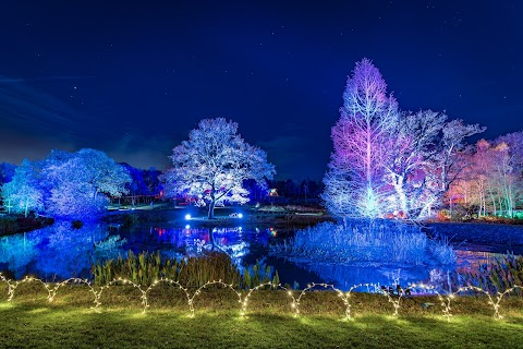 RHS Garden Harlow Carr