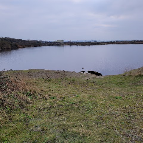 Cliffe Pools