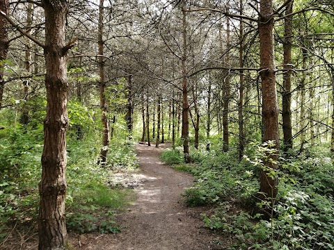 Highfield Country Park