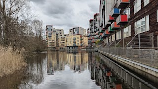 Greenwich Peninsula Ecology Park - TCV