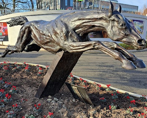 Leopardstown Racecourse