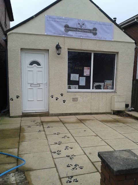 Poochilicious Paws Grooming Studio In Drighlington