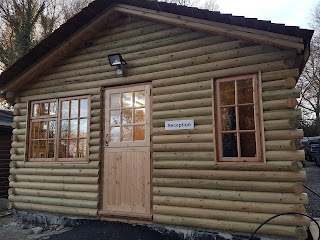 Chestnut Cattery