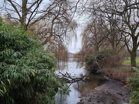 Brookvale Park