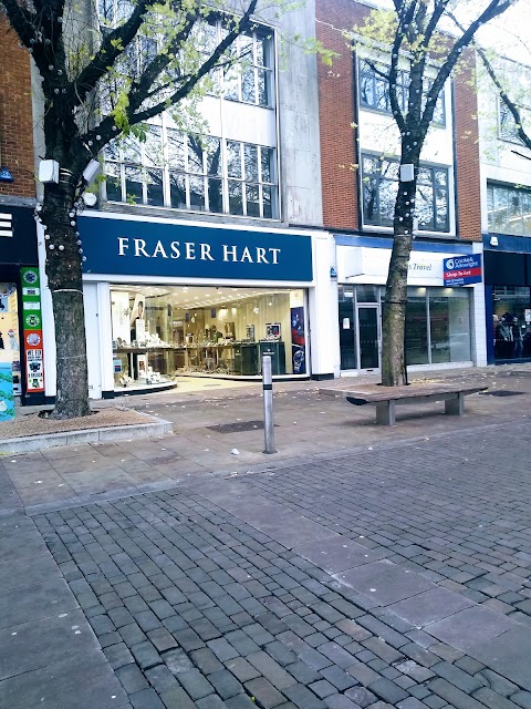 Fraser Hart, Swansea