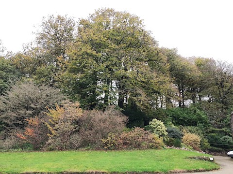 Lukesland Gardens and Tea Room