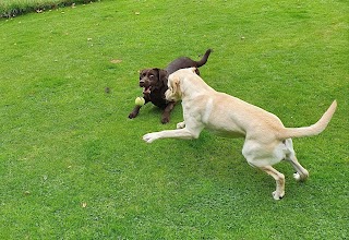 Fairway Boarding Kennels & Cattery