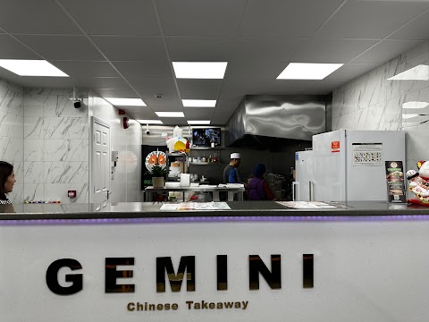 Gemini Chinese Takeaway