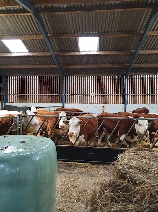 Wythenshawe Community Farm