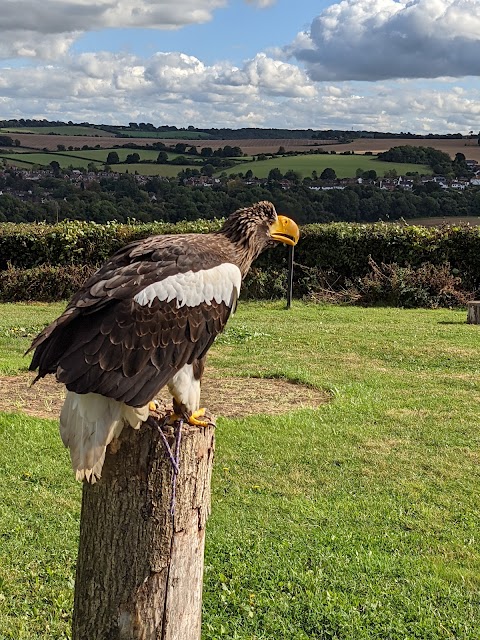 Eagle Heights Wildlife Foundation