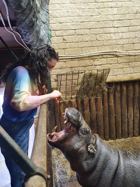 Heythrop Zoological Gardens