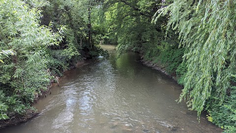 The Hurst Water Meadow Trust