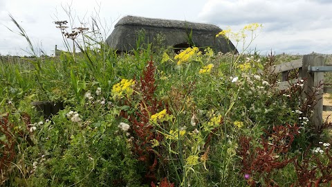 Norfolk Wildlife Trust