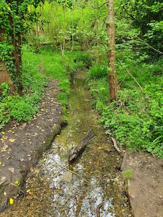 Blundells Copse