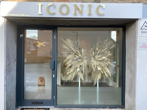 Iconic Cosmetic Clinic