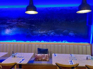 Into the Blue Restaurant