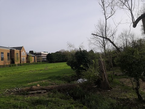 Lammas Land Pool