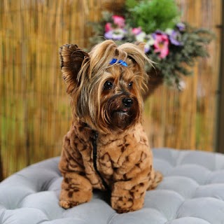 For Dog Lovers - Dog Clothing & Dog Walking Accessories