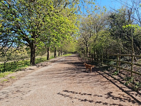 Darenth Country Park