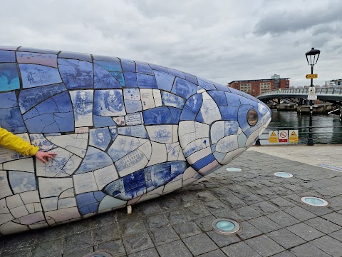 Belfast Bike Tours