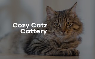 Cozycatz Cattery