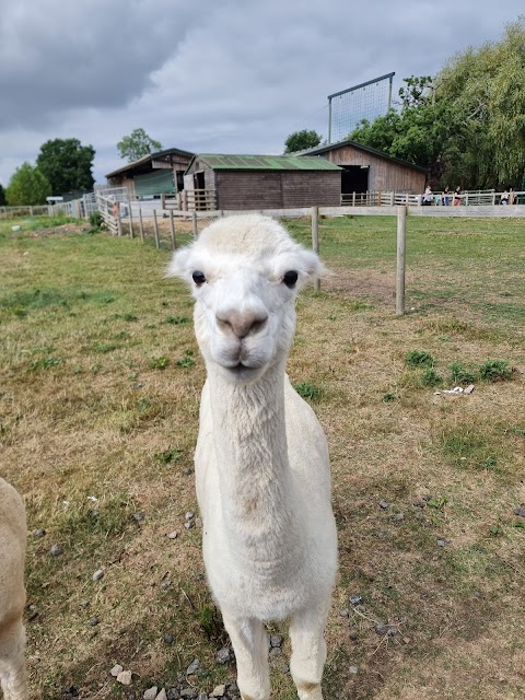 Cattle Country Farm Park