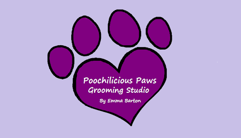 Poochilicious Paws Grooming Studio In Drighlington