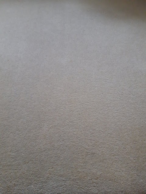 Carpet Kleen