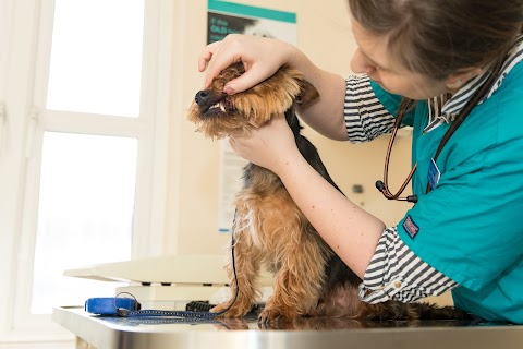 Ashcroft Veterinary Surgery