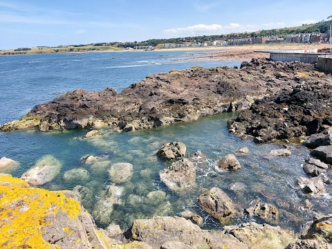 Scottish Seabird Centre