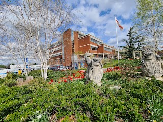 St George's Hospital